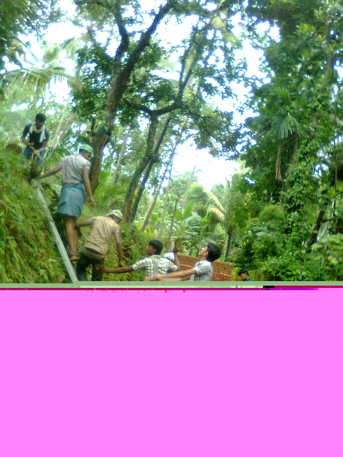 Sevanam5 1